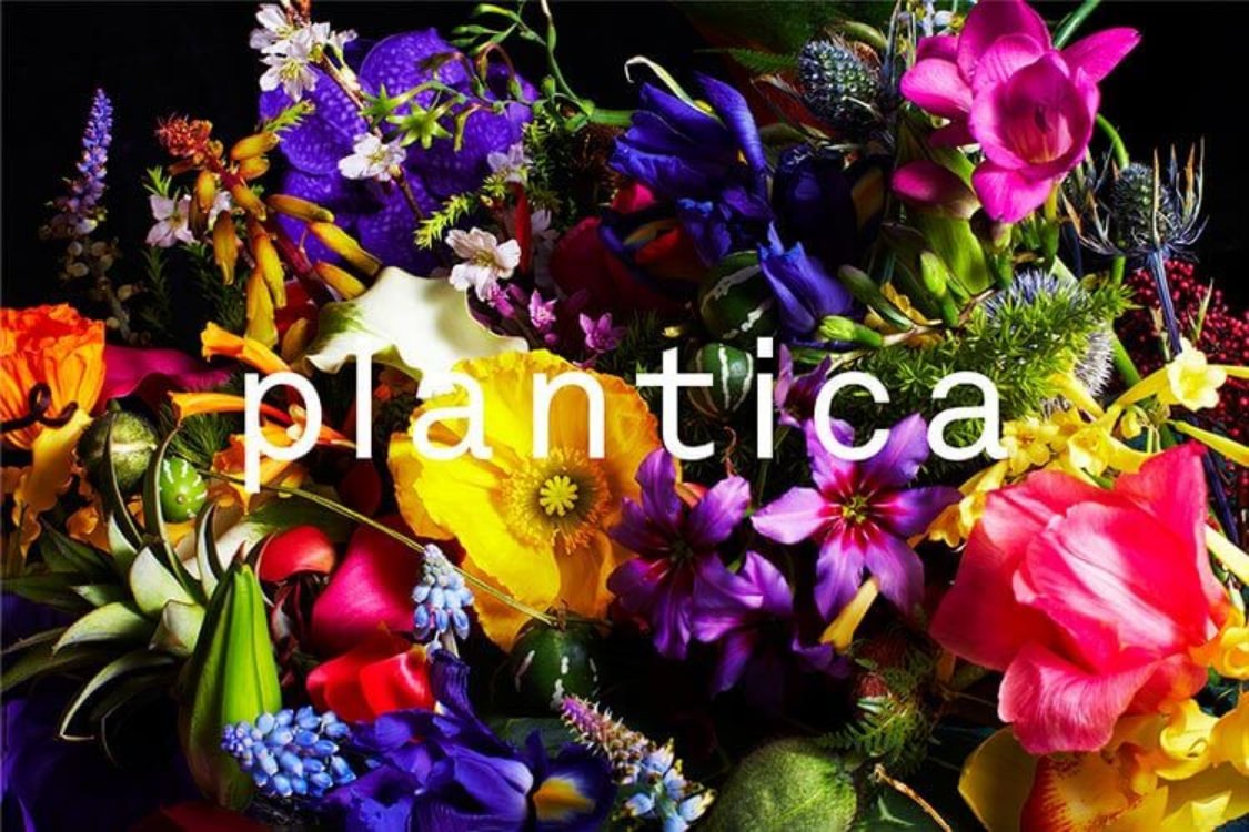 plantica
